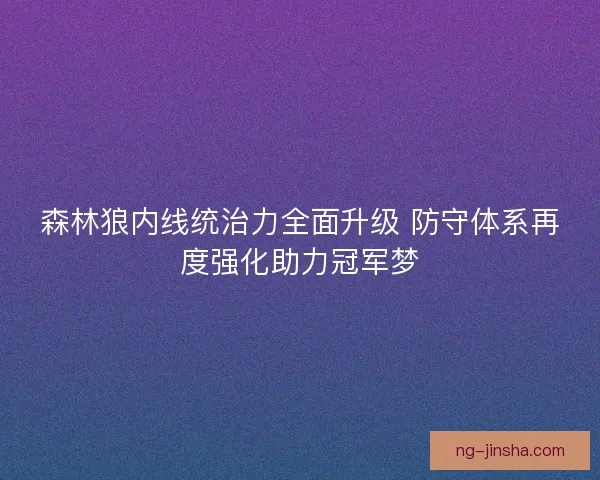 森林狼内线统治力全面升级 防守体系再度强化助力冠军梦